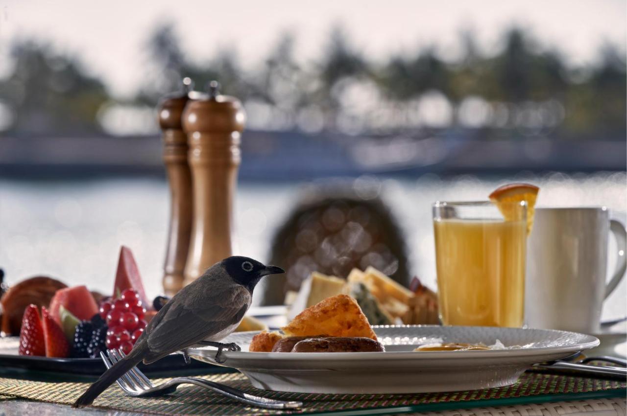 Fanar Hotel & Residences Salalah Exterior foto A bird at a breakfast table